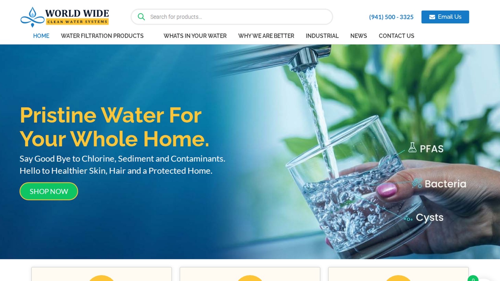 World Wide Clean Water Systems project visual